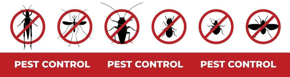 pest control service Dubai South